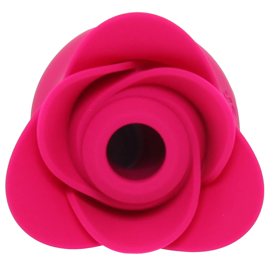 Pro 2 Modern Blossom Air Pulse Vibe