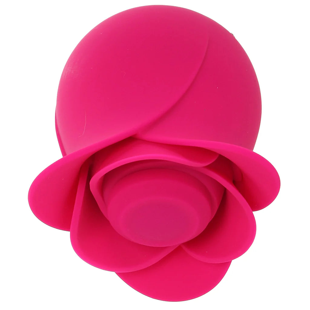 Pro 2 Modern Blossom Air Pulse Vibe