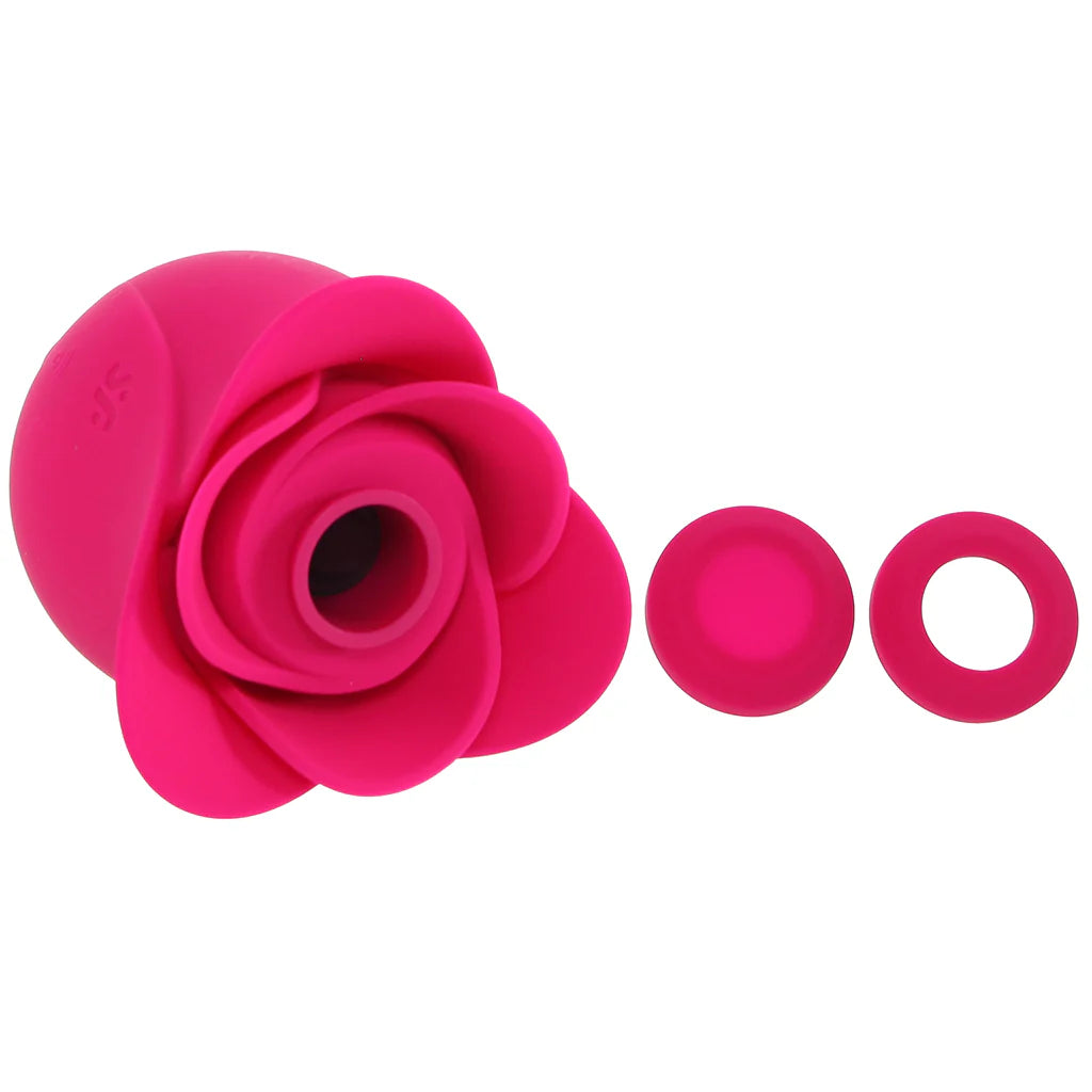 Pro 2 Modern Blossom Air Pulse Vibe